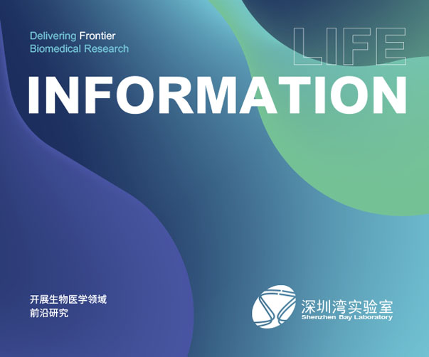 濟南餐廳vi設(shè)計_用心打造獨特餐飲形象